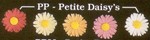 Petite Daisies